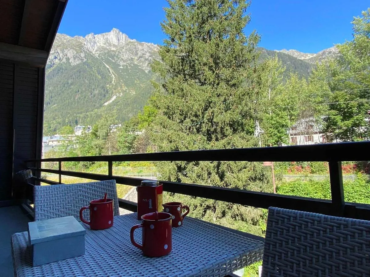Superbe Appartement 3 Etoiles A Chamonix, 2 Chambres, Balcon, Cheminee Deco, Parking Et Wi-Fi - Fr-1-343-197 Apartment