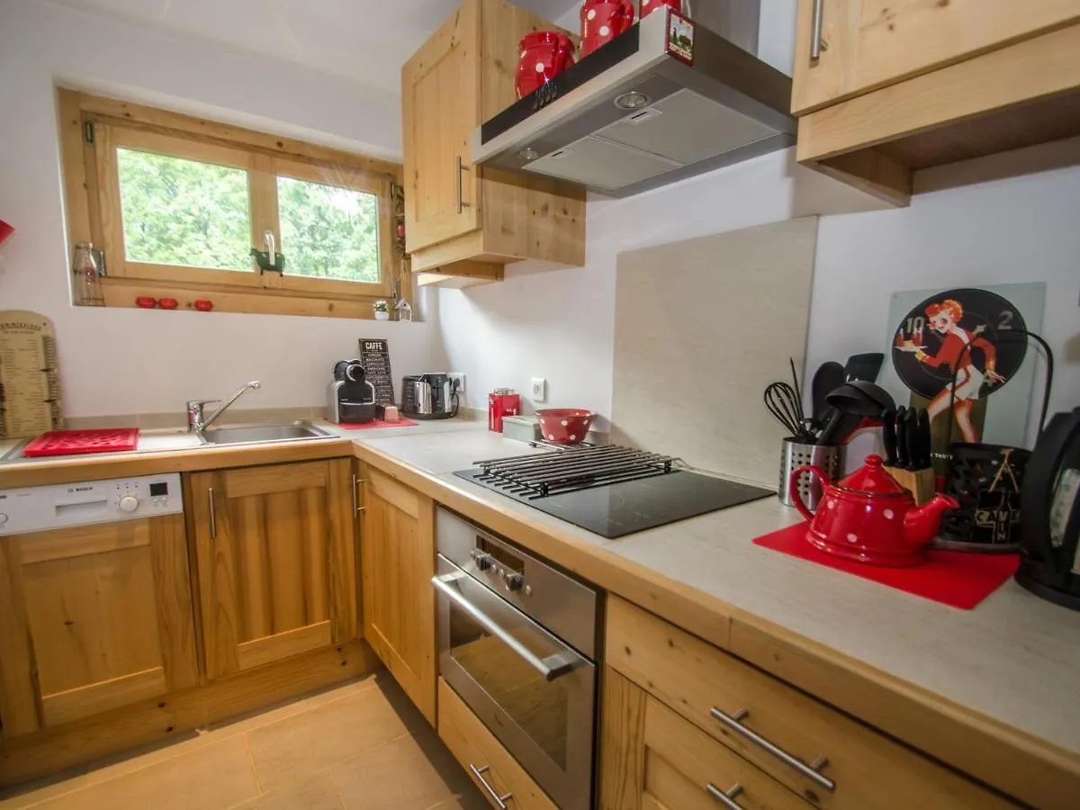 Daire Superbe Appartement 3 Etoiles A Chamonix, 2 Chambres, Balcon, Cheminee Deco, Parking Et Wi-Fi - Fr-1-343-197 Fransa